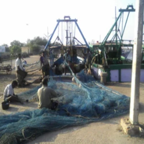 The local harbour — chartered trawlers moored alongside the fishing fleet